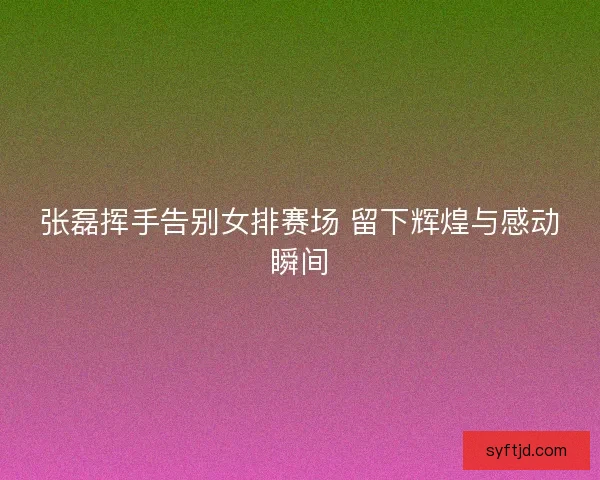 张磊挥手告别女排赛场 留下辉煌与感动瞬间